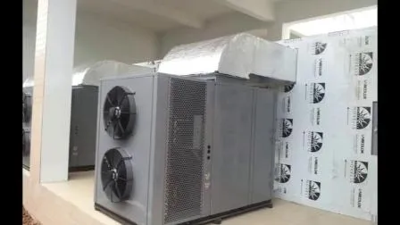 Disidratatore elettronico per alimenti, asciugatrice per zenzero, armadio per l'essiccazione dello zenzero