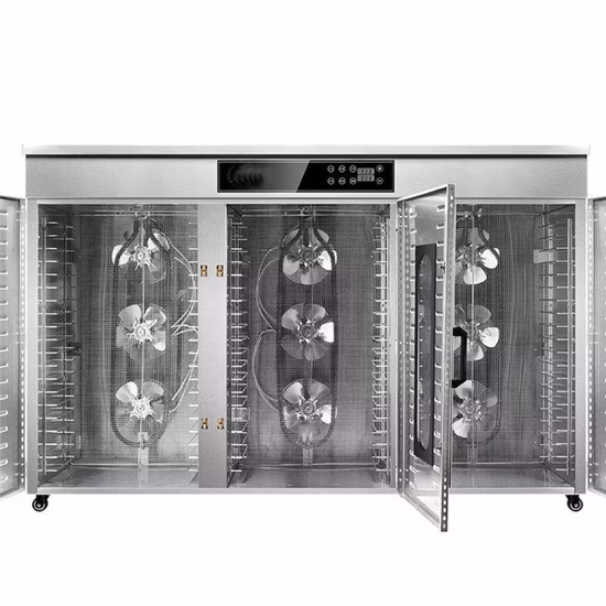 Disidratatore commerciale per pesce, frutta e alimenti a gas