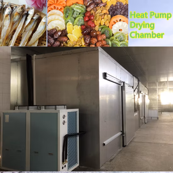 Disidratatore commerciale per alghe con camera di essiccazione dei frutti di mare