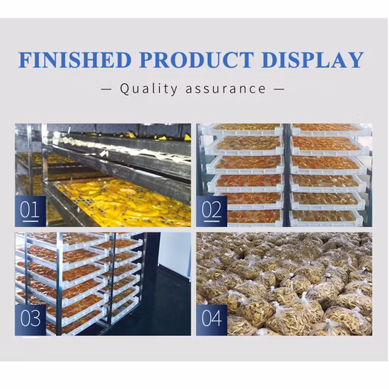 Disidratatore commerciale per frutta e verdura TCA Macchina per l'essiccazione di aziende agricole e alimentari