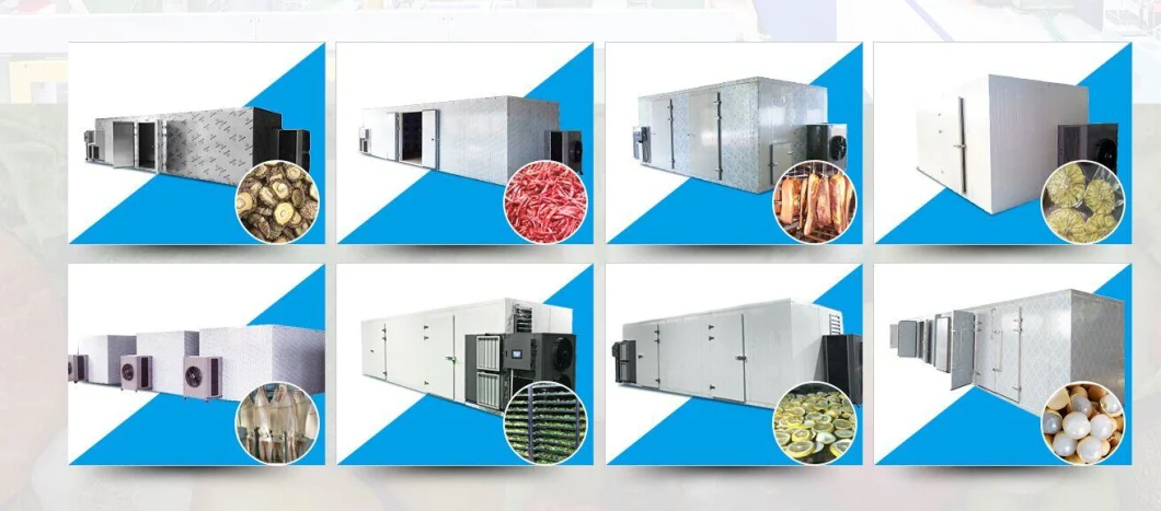 Big Hot Air Food Drying Machine Industrial Mushroom Dryers Banana Commercial Dryer Fish Dehydrator Equipment Potato Dehydrator Machine Food Dehydrator