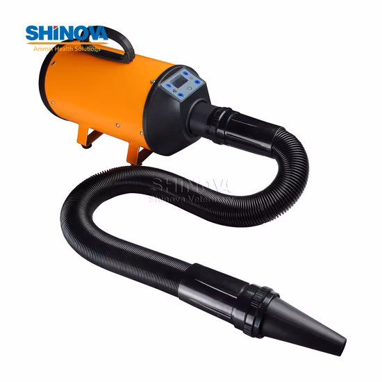 Asciugacapelli portatile portatile ad alta potenza per toelettatura di animali domestici